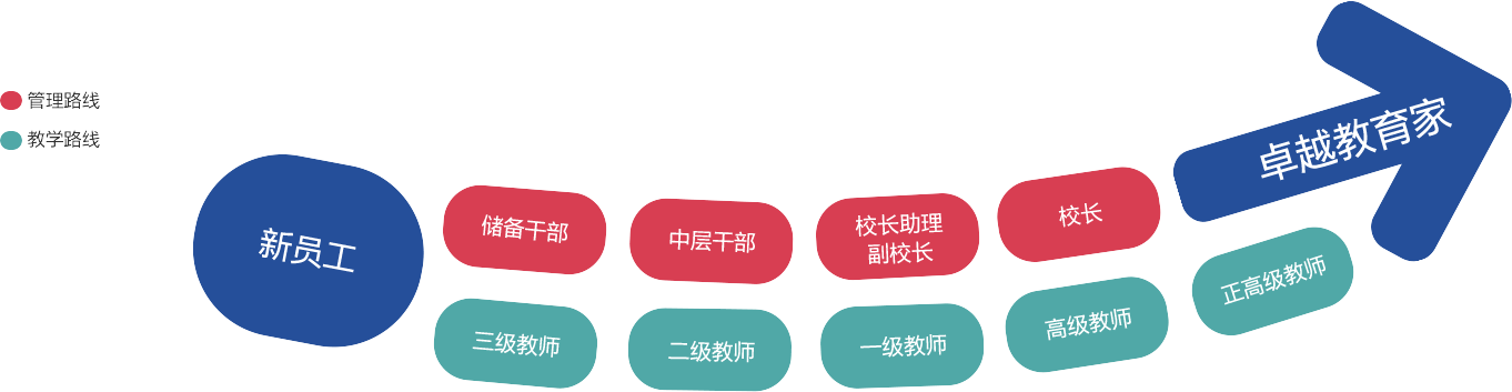 人才培养