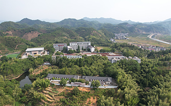 淳安大墅：乡村教育“梦开始的地方”