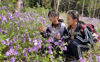 诸暨市海亮小学：非遗体验传匠心，家风浸润育童心