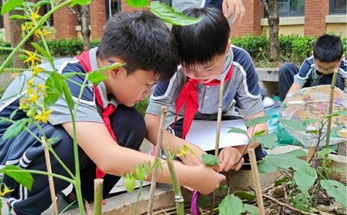 诸暨市海亮小学学生用笔尖丈量自然